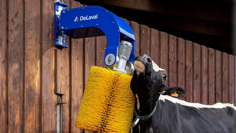 Rotating Cow Brush